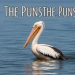Pelican Puns