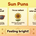 Sun Puns